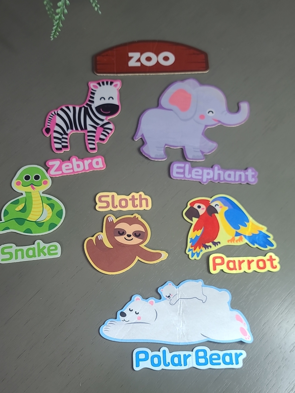 Zoo Animal With Name Velcor  Set Of 19 Colorful Animals